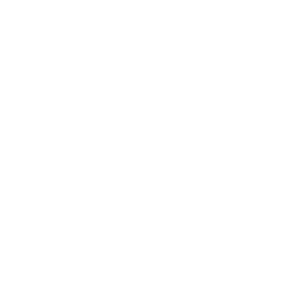 Advanced Digital Dental Inc.